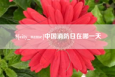 河源中国消防日在哪一天
