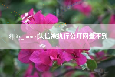 河源失信被执行公开网查不到