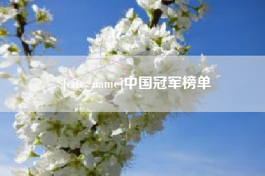 河源中国冠军榜单