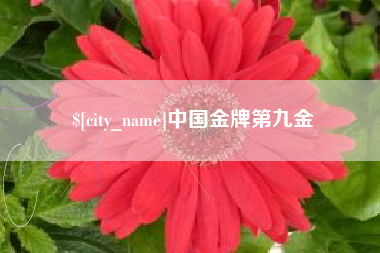 河源中国金牌第九金