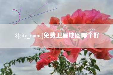 河源免费卫星地图哪个好
