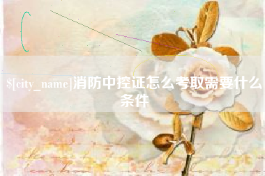 河源消防中控证怎么考取需要什么条件