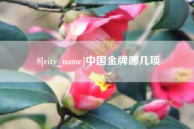 河源中国金牌哪几项