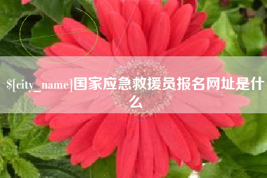 河源国家应急救援员报名网址是什么