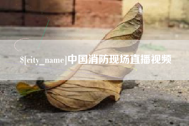 河源中国消防现场直播视频