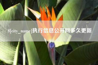 河源执行信息公开网多久更新