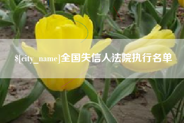 河源全国失信人法院执行名单