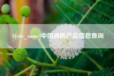 河源中国消防产品信息查询