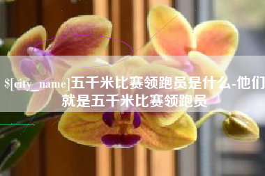 河源五千米比赛领跑员是什么-他们就是五千米比赛领跑员