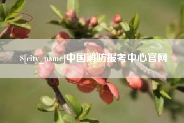 河源中国消防报考中心官网