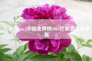 河源中国金牌榜2024巴黎奥运会最新