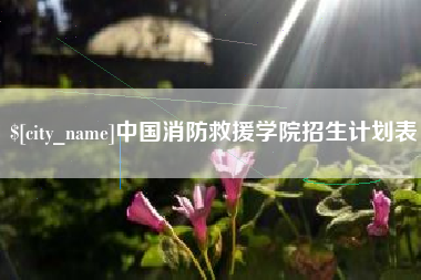 河源中国消防救援学院招生计划表
