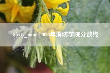 河源2020年消防学院分数线