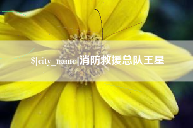 河源消防救援总队王星