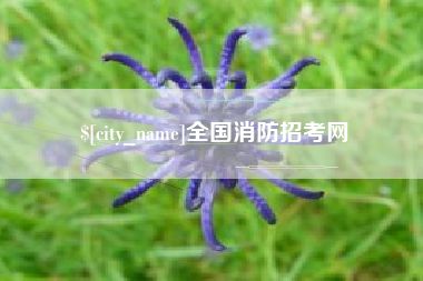河源全国消防招考网