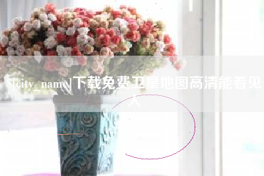 河源下载免费卫星地图高清能看见人