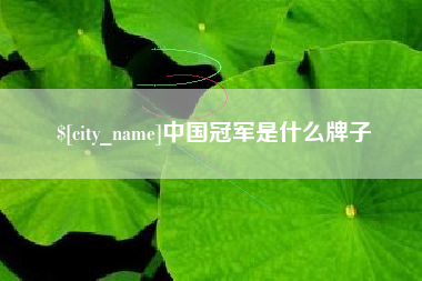 河源中国冠军是什么牌子