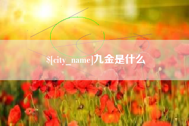 河源九金是什么