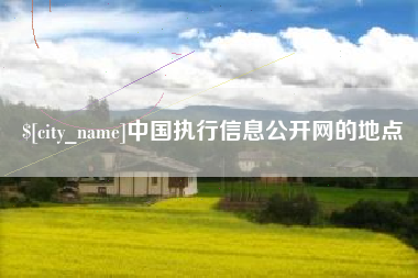 河源中国执行信息公开网的地点