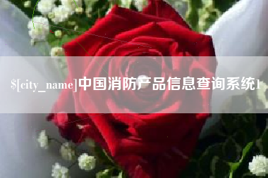 河源中国消防产品信息查询系统1