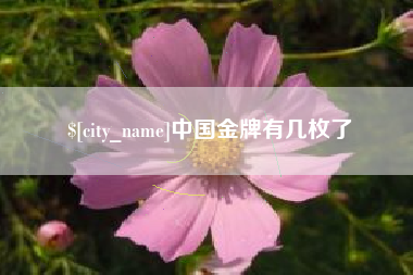河源中国金牌有几枚了