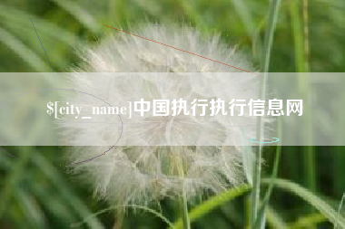 河源中国执行执行信息网