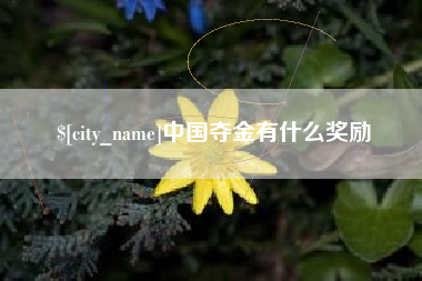 河源中国夺金有什么奖励
