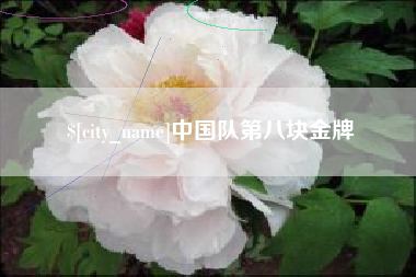 河源中国队第八块金牌