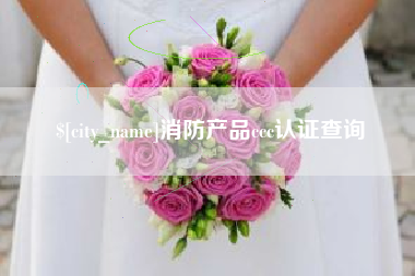 河源消防产品ccc认证查询