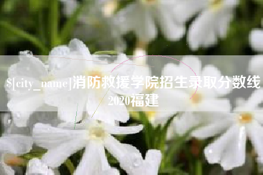 河源消防救援学院招生录取分数线2020福建
