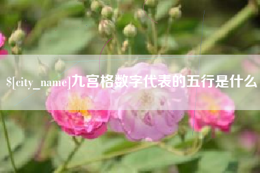 河源九宫格数字代表的五行是什么