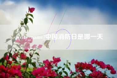 河源中国消防日是哪一天