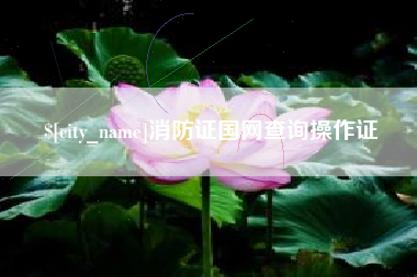 河源消防证国网查询操作证