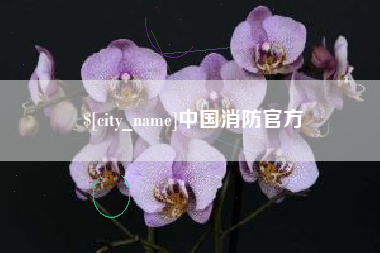 河源中国消防官方
