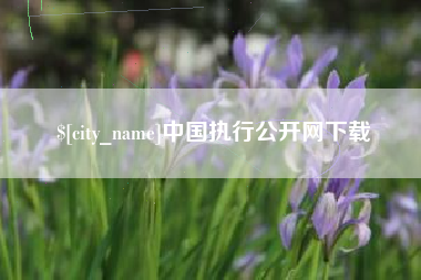 河源中国执行公开网下载