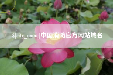 河源中国消防官方网站域名