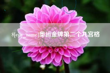 河源奥运金牌第二个九宫格