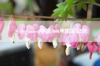 河源中国5000米国家记录