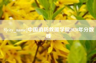 河源中国消防救援学院2020年分数线