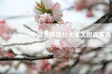 河源中国金牌图片大全大图真实高清