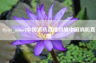 河源中国消防直播回放中国消防直播