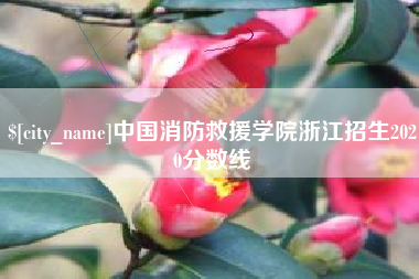 河源中国消防救援学院浙江招生2020分数线