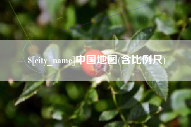 河源中国地图(含比例尺)