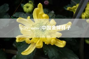 河源中国金牌样子