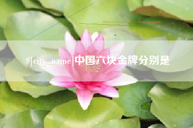 河源中国六块金牌分别是