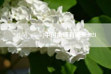 河源中国金牌有哪些2021