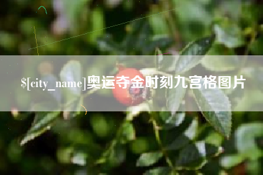 河源奥运夺金时刻九宫格图片