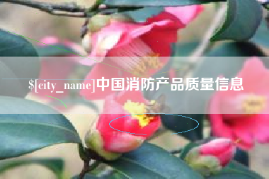 河源中国消防产品质量信息