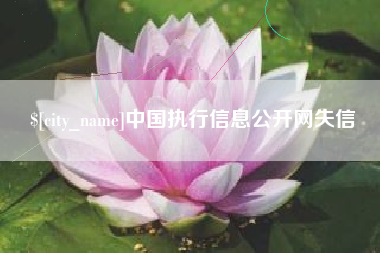 河源中国执行信息公开网失信