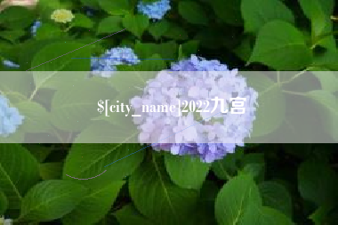 河源2022九宫